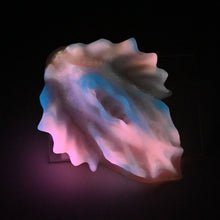 Load image into Gallery viewer, C4XKG00 Calypso Large 0020 UV GITD
