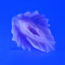 Load image into Gallery viewer, C4SKH01 Calypso Large 0030 UV GITD
