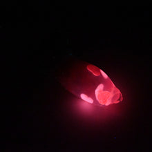 Load image into Gallery viewer, 82TJD69 Hue Small NC 0031 UV GITD CS

