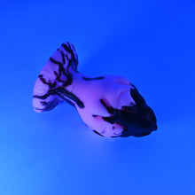 Load image into Gallery viewer, F3SJD88 Dragonfruit Plug Medium 0030 UV GITD
