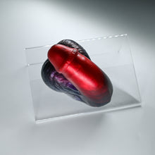 Load image into Gallery viewer, PCXJE33 Cut Packer 0020 CS
