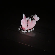 Load image into Gallery viewer, Tai-nya-ki
