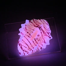 Load image into Gallery viewer, C2MHE09 Calypso Small 0050 UV GITD
