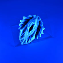 Load image into Gallery viewer, C2SJF63 Calypso Small 0030 UV GITD
