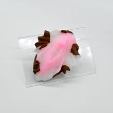 Load image into Gallery viewer, C2SJF64 Calypso Small 0030 UV GITD
