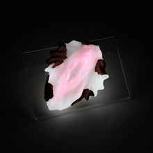 Load image into Gallery viewer, C2SJF64 Calypso Small 0030 UV GITD
