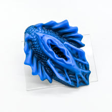 Load image into Gallery viewer, C4SJF65 Calypso Large 0030 UV GITD
