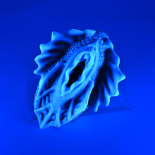 Load image into Gallery viewer, C4SJF65 Calypso Large 0030 UV GITD
