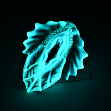 Load image into Gallery viewer, C4SJF65 Calypso Large 0030 UV GITD
