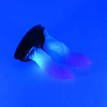 Load image into Gallery viewer, 22MKG39 Vasuki Small 0050 UV GITD
