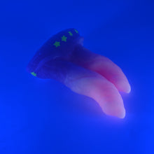 Load image into Gallery viewer, 23SKG44 Vasuki Medium 0030 UV GITD
