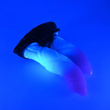 Load image into Gallery viewer, 24MKG47 Vasuki Large 0050 UV GITD
