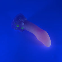 Load image into Gallery viewer, V2SKH99 Vaeriya Small 0030 UV GITD
