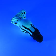 Load image into Gallery viewer, 52SJF34 Jacob Small 0030 UV GITD
