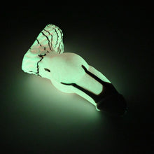 Load image into Gallery viewer, 53XJF46 Jacob Medium 0020 UV GITD
