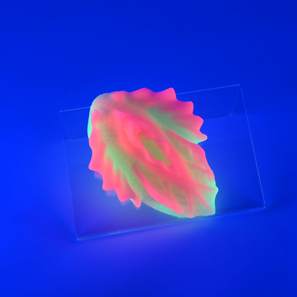 C2MKJ85 Calypso Small 0050 UV GITD