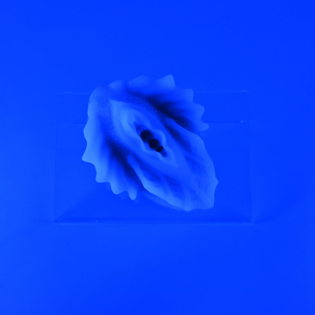C2XKJ86 Calypso Small 0020 UV GITD