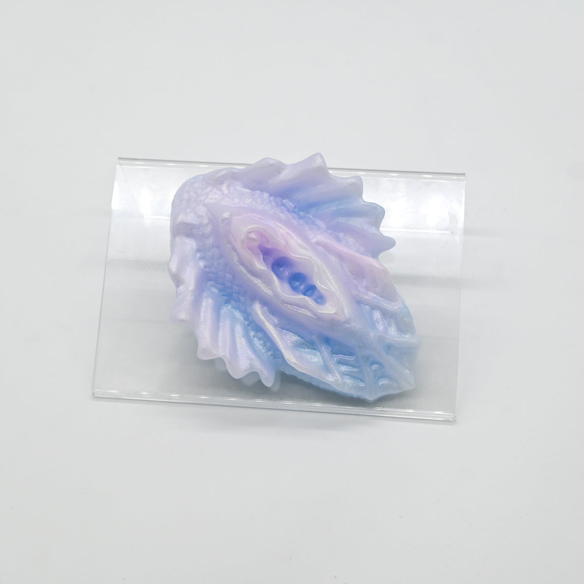 C2SKJ87 Calypso Small 0030 CS