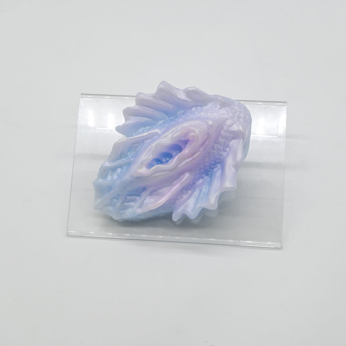 C2SKJ87 Calypso Small 0030 CS