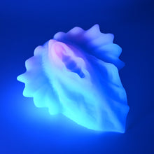 Load image into Gallery viewer, C4SGE32 Calypso Large 0030 UV GITD
