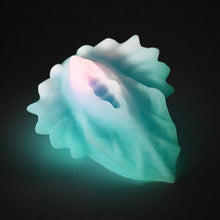 Load image into Gallery viewer, C4SGE32 Calypso Large 0030 UV GITD
