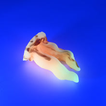 Load image into Gallery viewer, A2MJF58 Alara Small 0050 UV GITD
