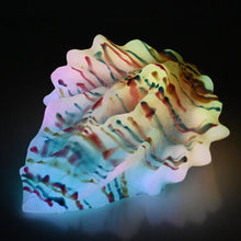 Load image into Gallery viewer, C4SEC26 Calypso Large 0030 UV GITD
