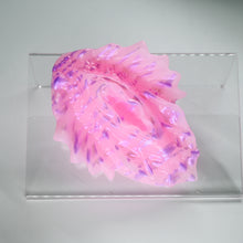 Load image into Gallery viewer, C2XJH29 Calypso Small 0020 UV GITD CS
