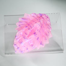 Load image into Gallery viewer, C2XJH29 Calypso Small 0020 UV GITD CS
