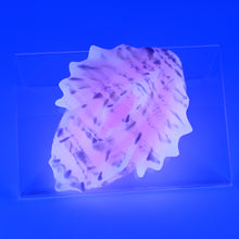 Load image into Gallery viewer, C2XJH29 Calypso Small 0020 UV GITD CS
