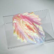 Load image into Gallery viewer, C2MJH30 Calypso Small 0050 UV GITD CS
