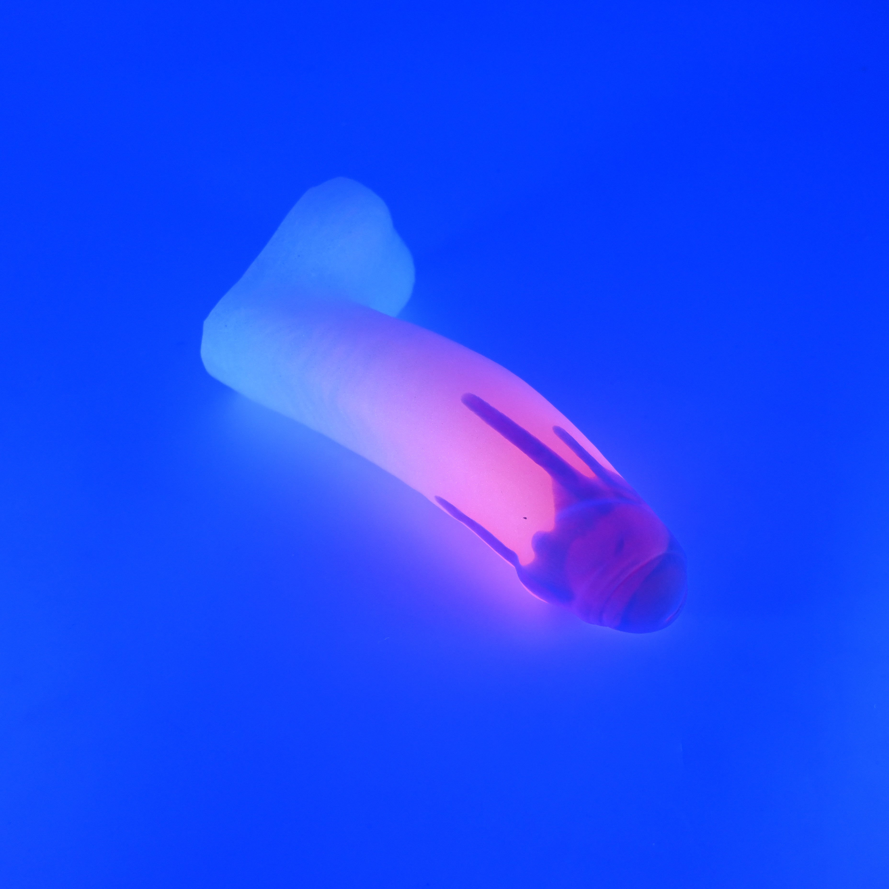 R2SKK52 Orion Small 0030 UV GITD