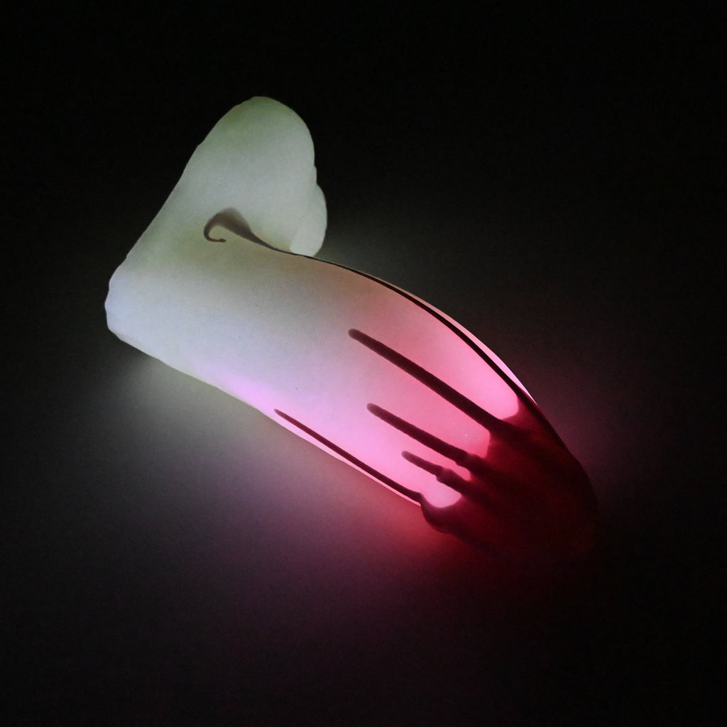 95SKJ72 Kronos XL 0030 UV GITD