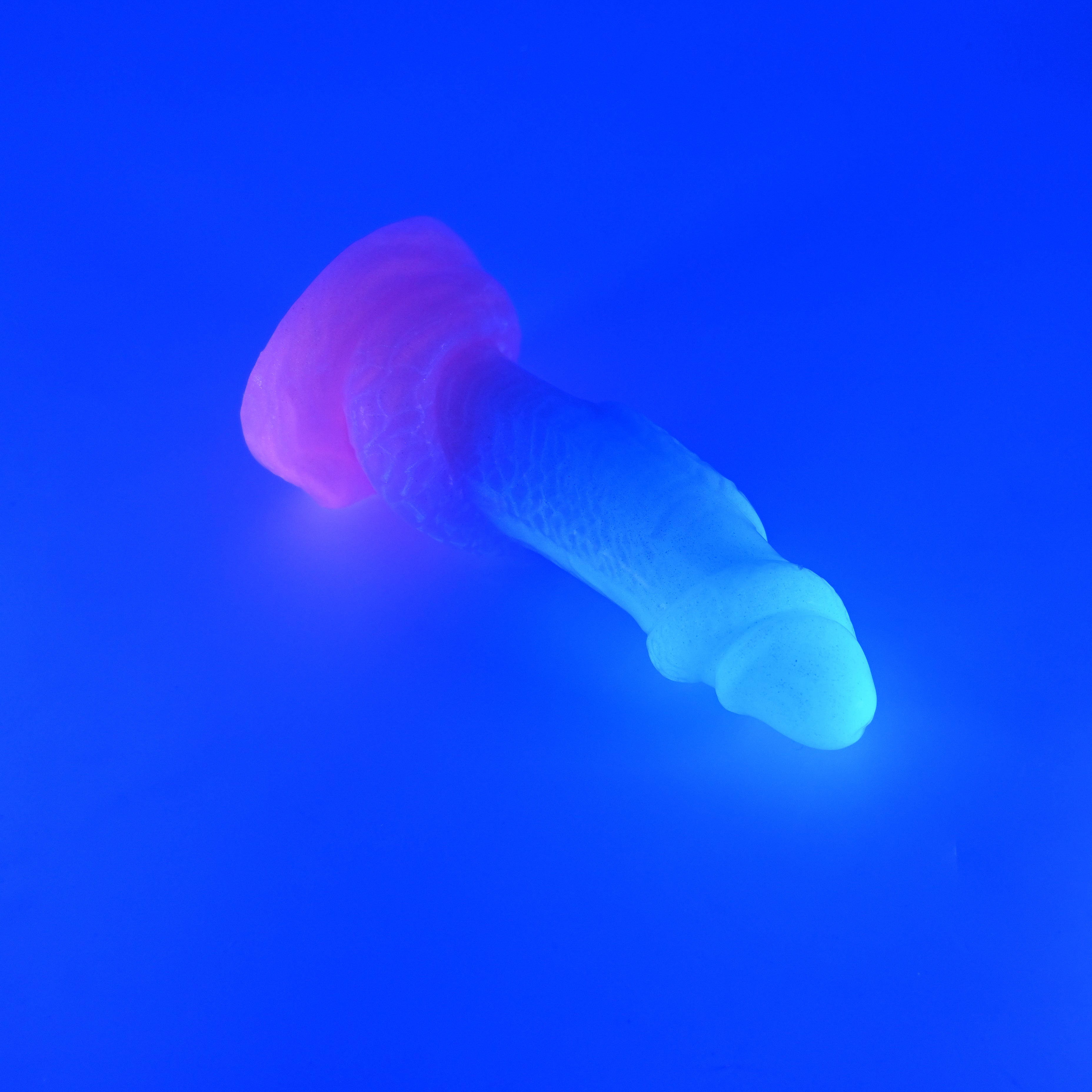 32XKJ37 Celia Small 0020 UV GITD