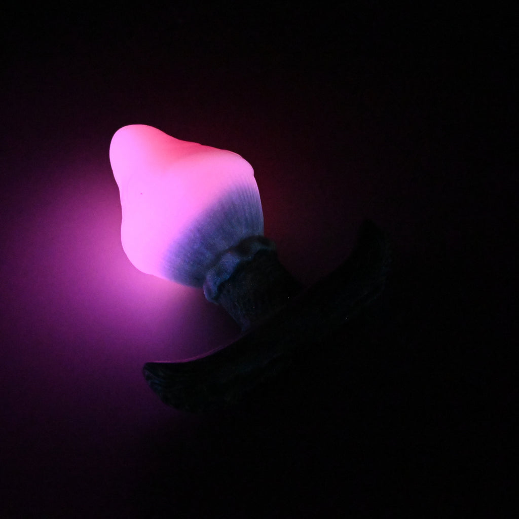 F3SKJ92 Cylo Plug Medium 0030 UV GITD