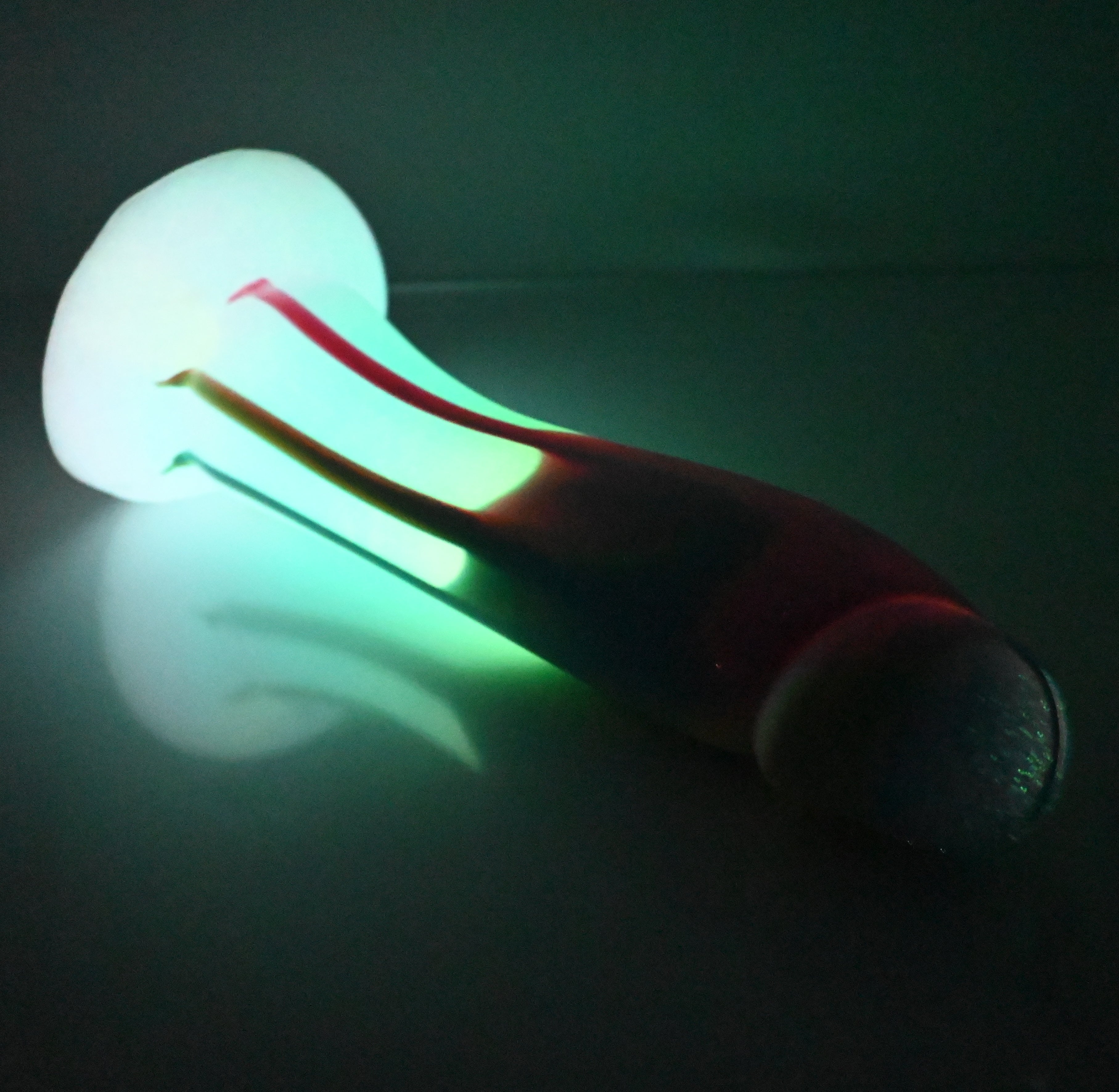 Z4XED90 Caelus Large 0020 UV GITD SC