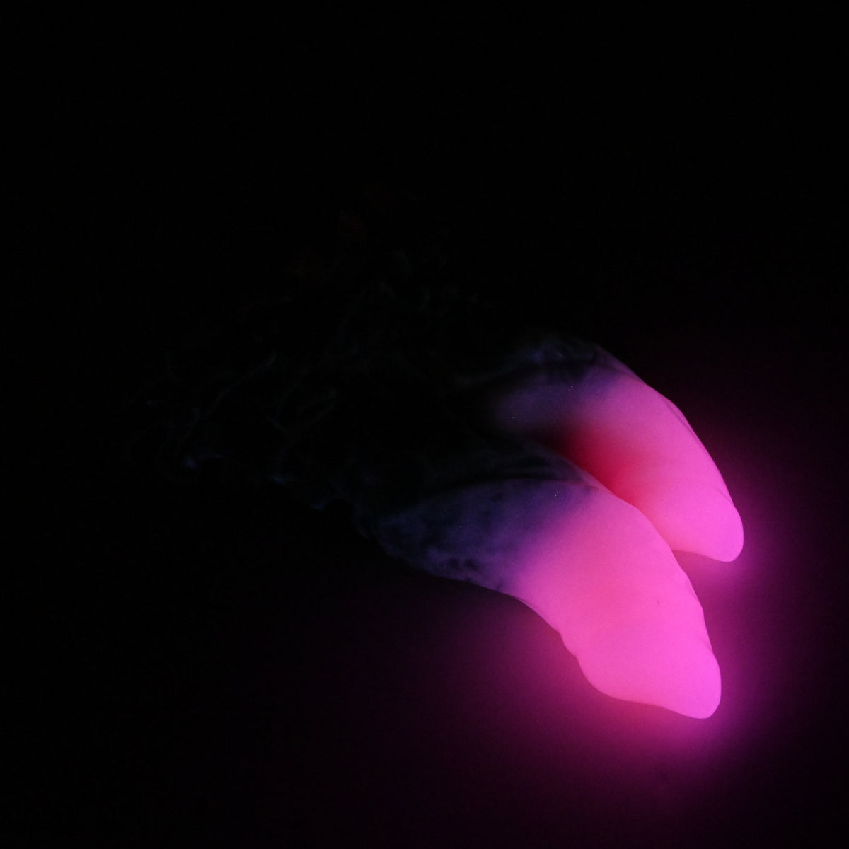23MKJ27 Vasuki Medium 0050 UV GITD