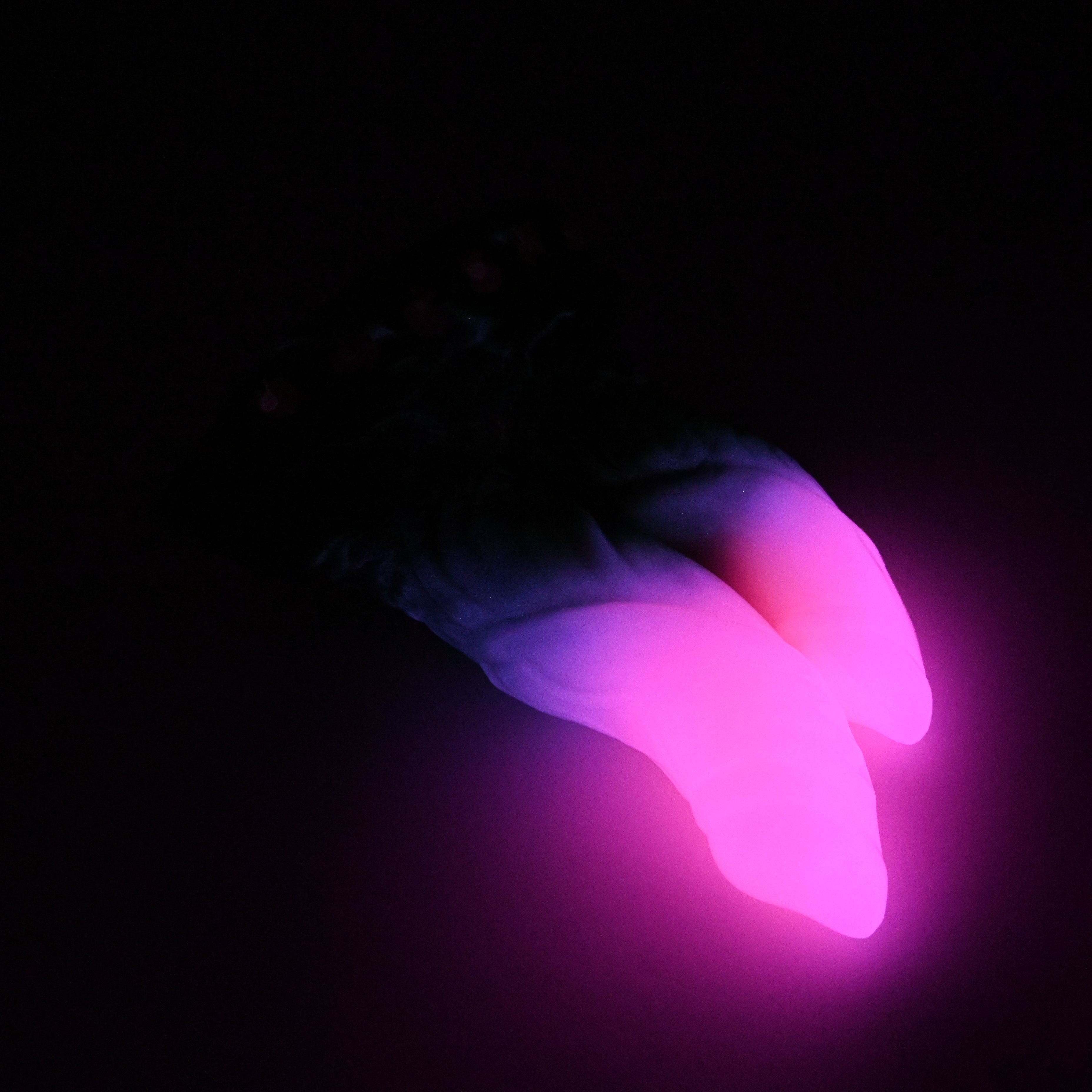 24SKJ31 Vasuki Large 0030 UV GITD