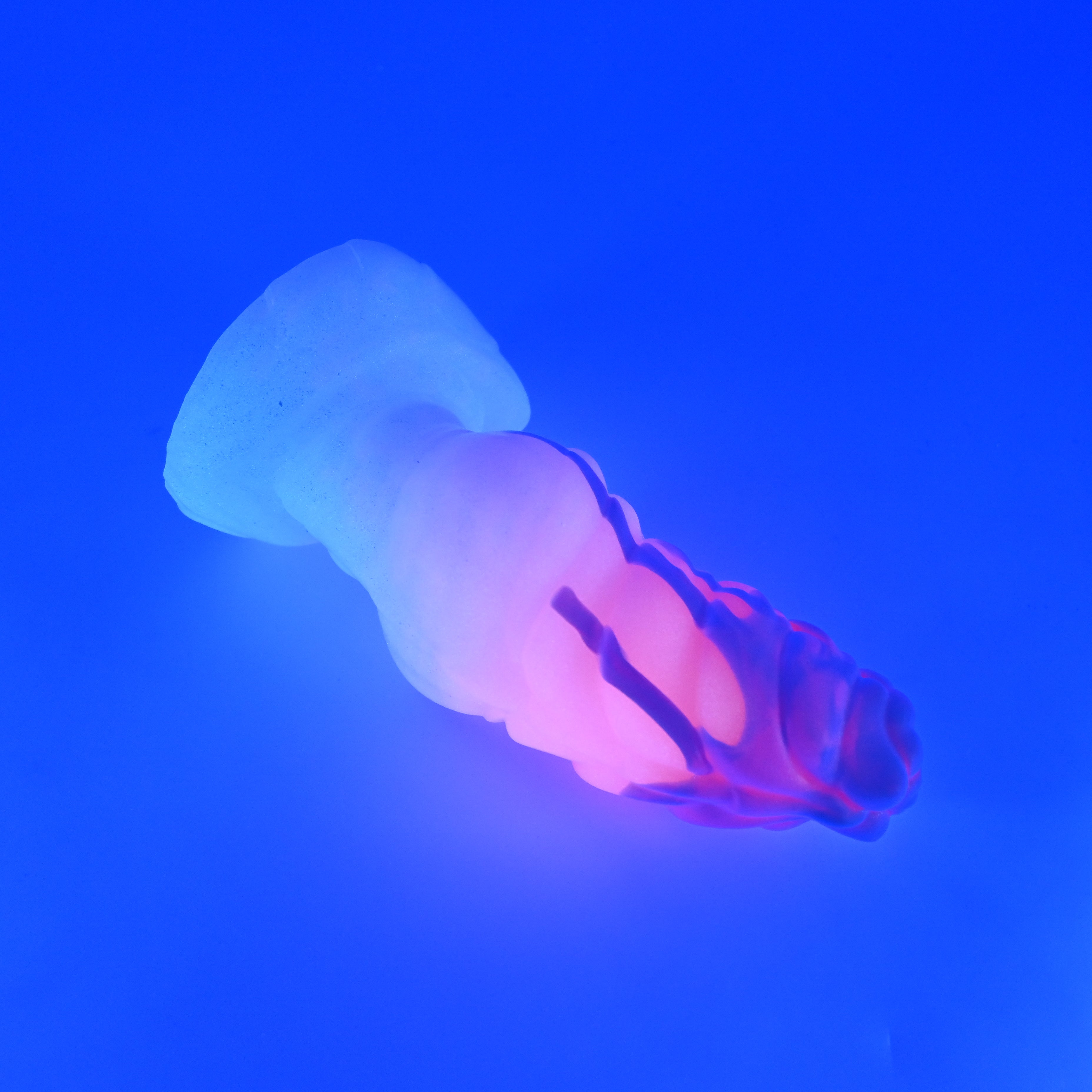 P2SKK31 Pluto Small 0030 UV GITD