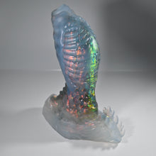 Load image into Gallery viewer, X3TED71 Shin Medium NC 0031 CS
