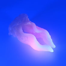 Load image into Gallery viewer, A3XHF17 Alara Medium 0020 UV GITD
