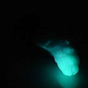 B2XFD55 Flora Small 0020 UV GITD CS