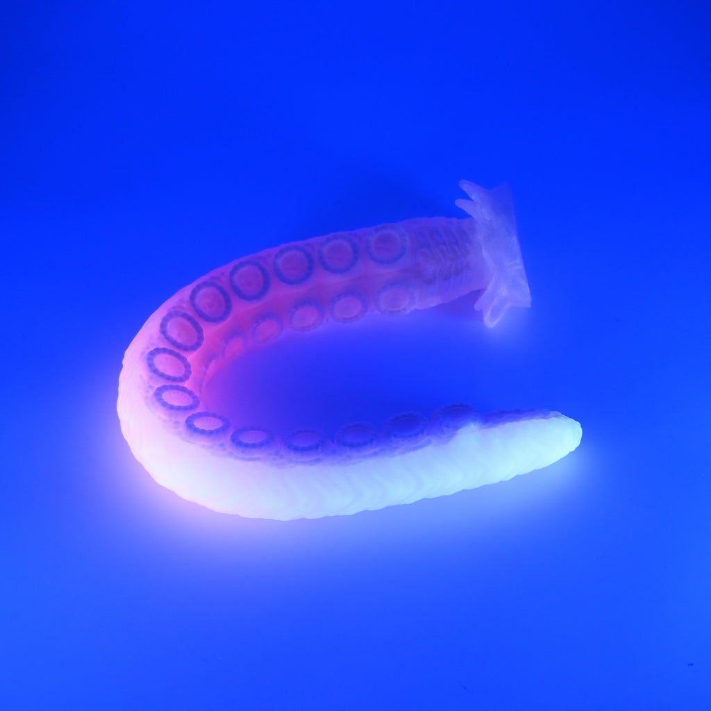 E4XHF38 Illex Large 0020 UV GITD CS