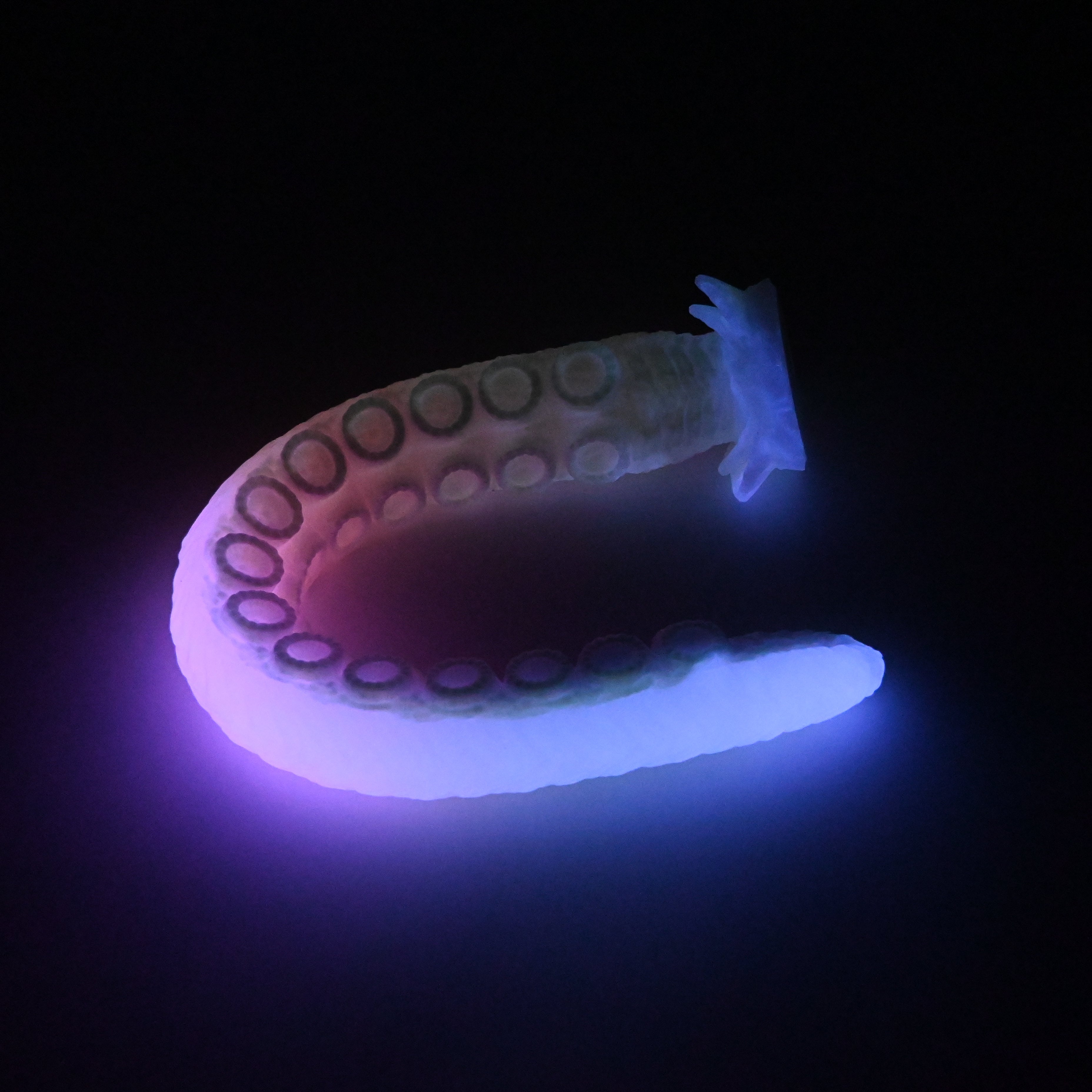 E4XHF38 Illex Large 0020 UV GITD CS