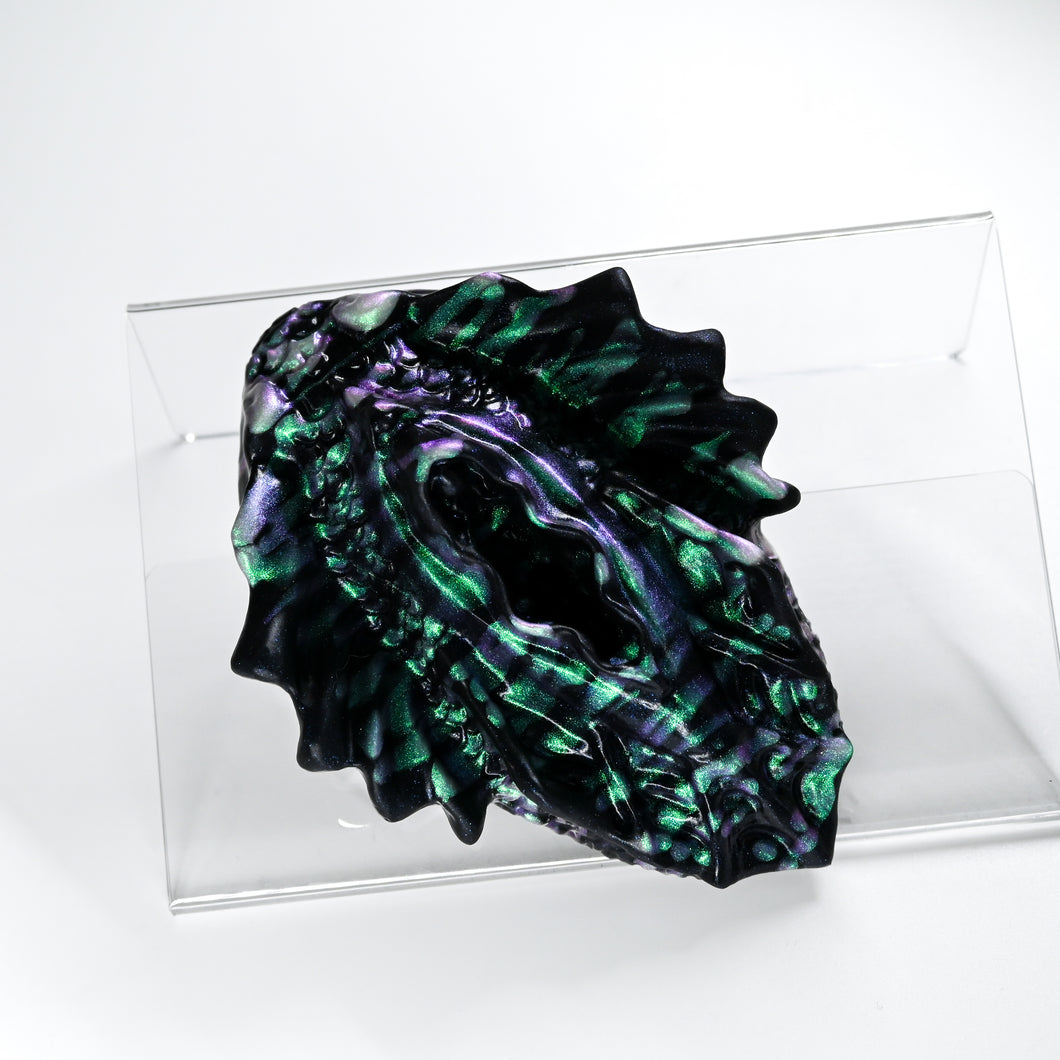 C2SHG79 Calypso Small 0030 CS