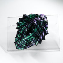 Load image into Gallery viewer, C2SHG79 Calypso Small 0030 CS
