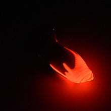 Load image into Gallery viewer, 82SJH48 Hue Small 0030 UV GITD
