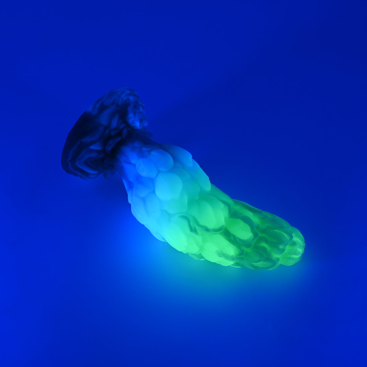 B2SKJ78 Flora Small 0030 UV GITD CS