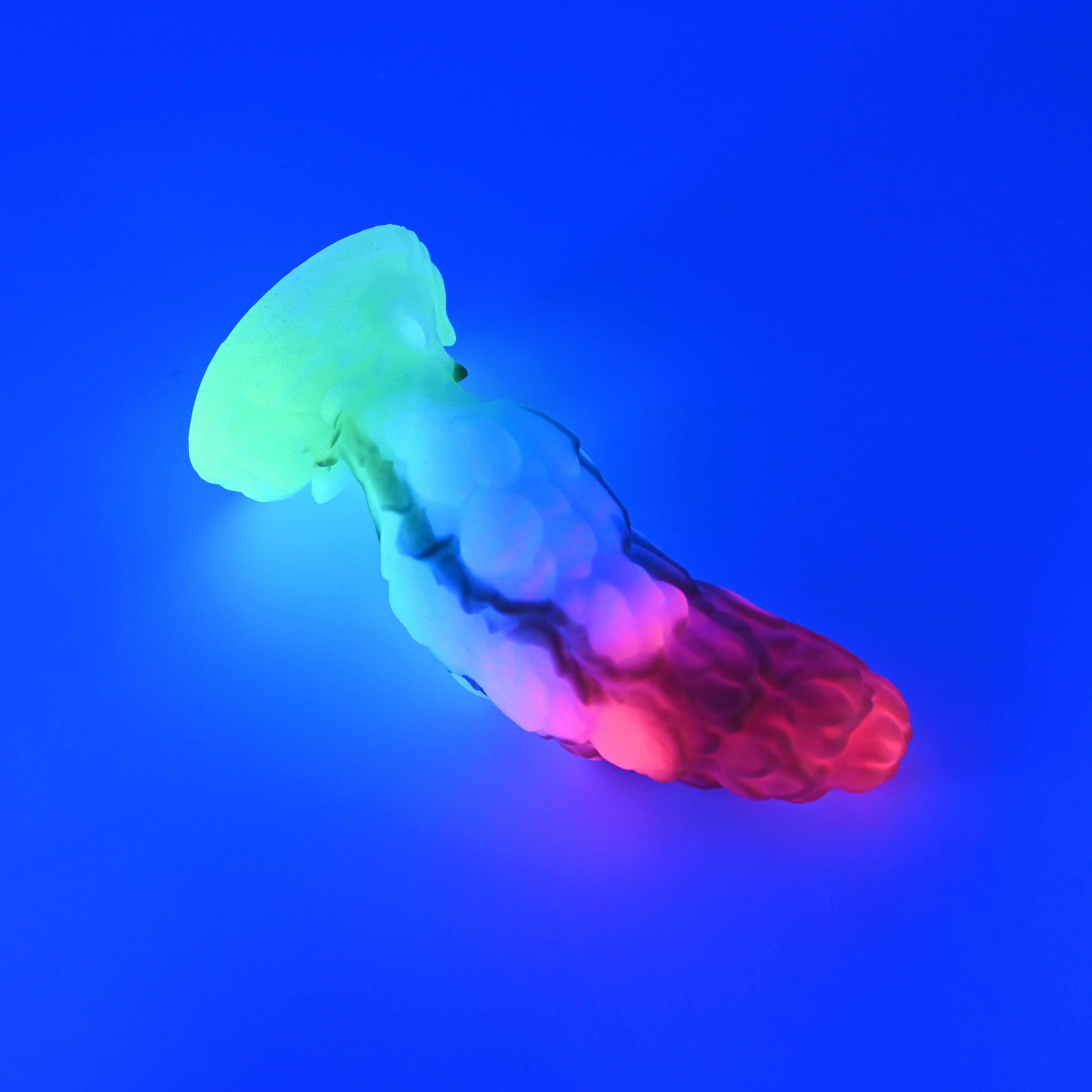 B2MKJ79 Flora Small 0050 UV GITD