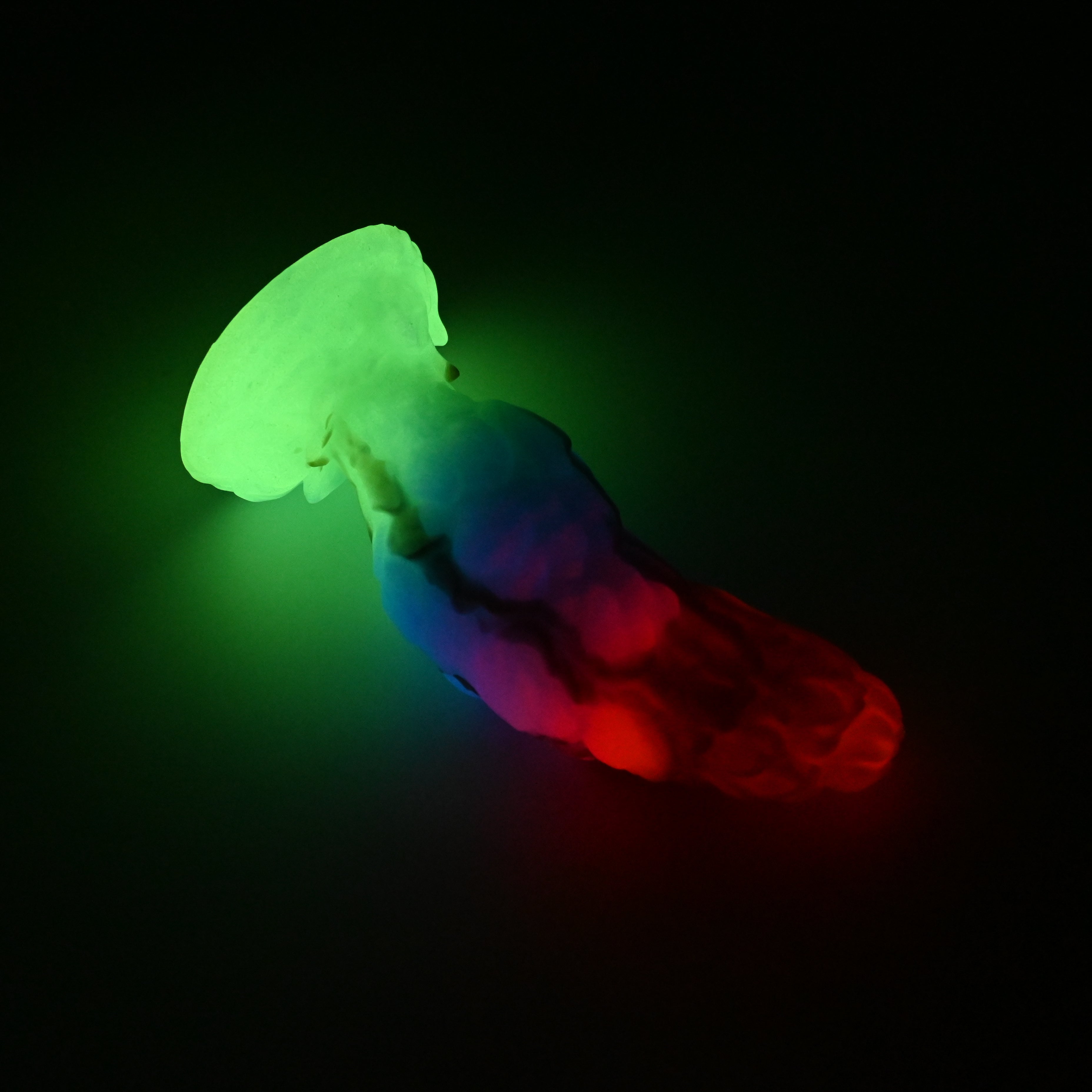 B2MKJ79 Flora Small 0050 UV GITD